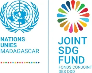 Joint SDG Fund